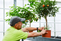 Family Garden i Odder (2) - bragt i Århus Stiftstidende